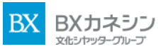 ＢＸカネシン 株式会社